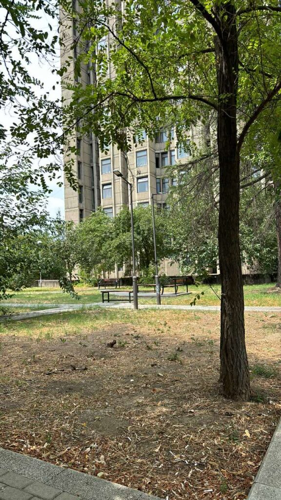 461a3689 9b47 4943 8d44 746960e7eb2b