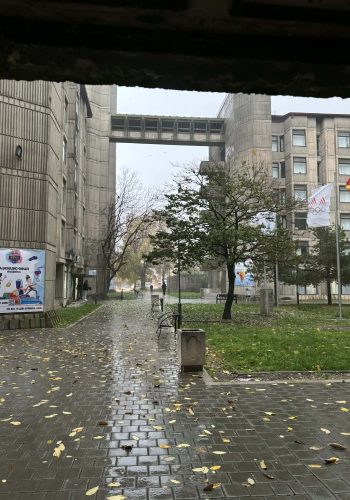 dc2a53a2 99fc 4ef4 ba6a cfccb45aaa89